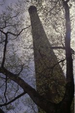 �������B���̑剌��