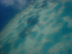 coral reef, Vanua Levu, Fiji Is.