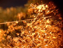 �n��X�|���W(19kb)