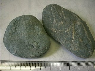 結晶片岩中の緑れん石