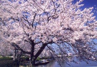 ���ˁE��g�΂̍�