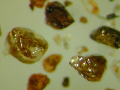 ���샍�[���w���̂������