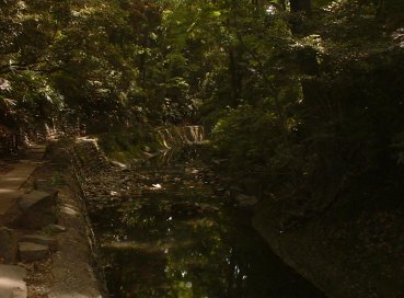 ���X�͌k�J�A�㑍�w�Q�ƕ������I�w�̕s����