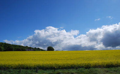 Fife, Scotland 2011.5.13